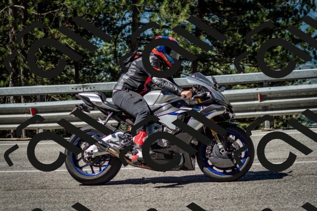 202506291032-DSC_2354_c2