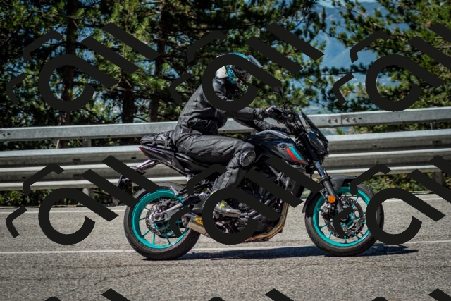 202506291032-DSC_2357_c2