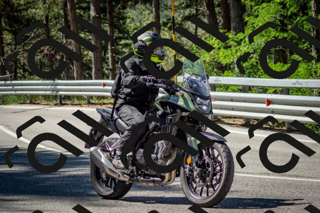 202506291032-DSC_2361_c2