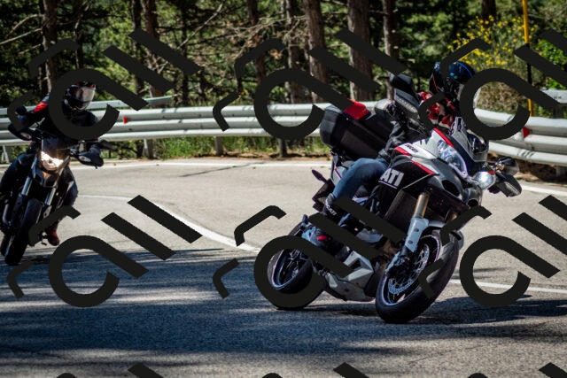 202506291032-DSC_2366_c2