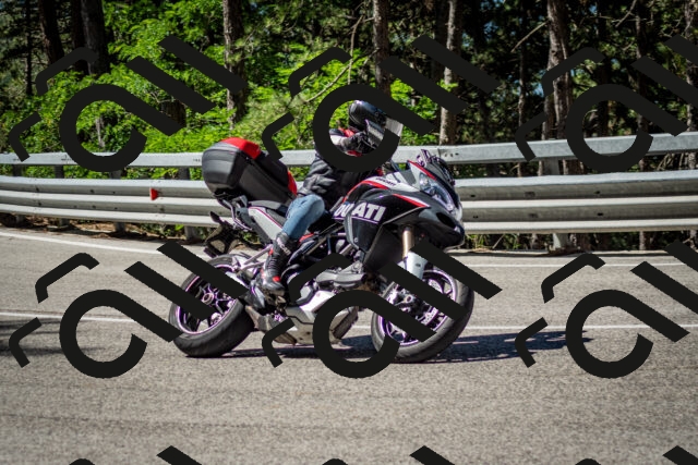 202506291032-DSC_2367_c2