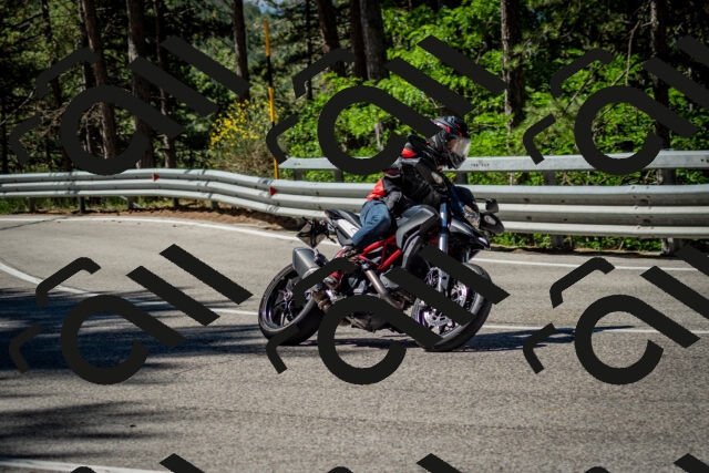 202506291032-DSC_2368_c2