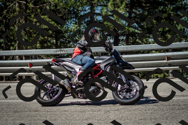 202506291032-DSC_2369_c2