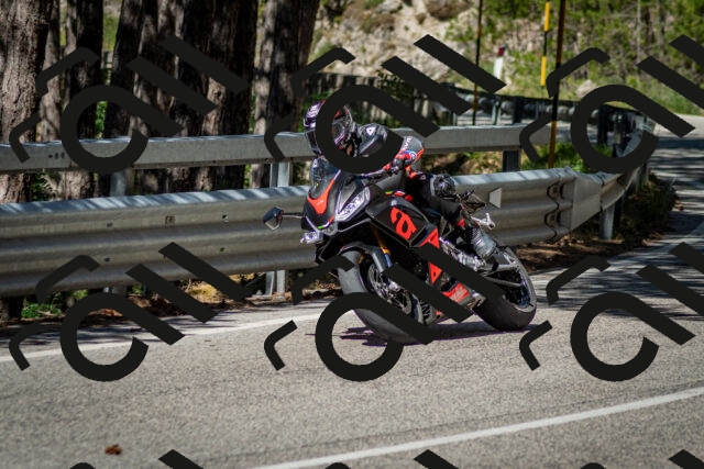 202506291036-DSC_2373_c2