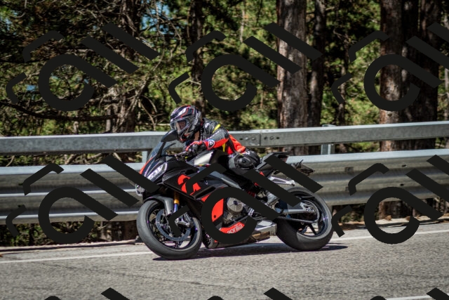 202506291036-DSC_2374_c2