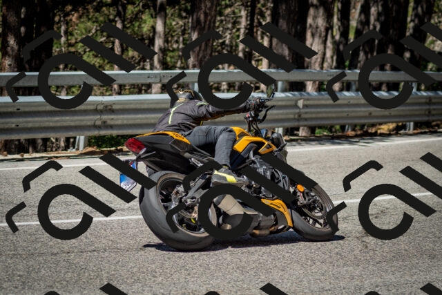 202506291036-DSC_2378_c2