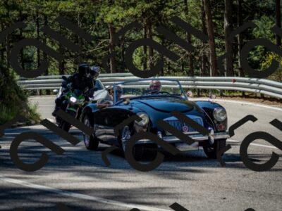 202506291036-DSC_2379_c2