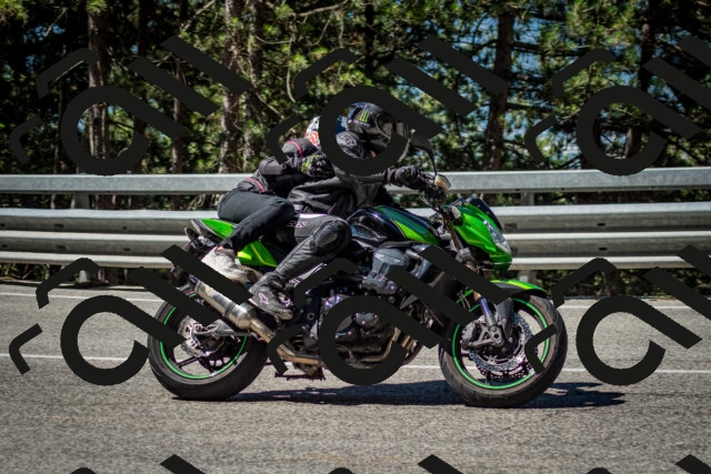 202506291036-DSC_2381_c2