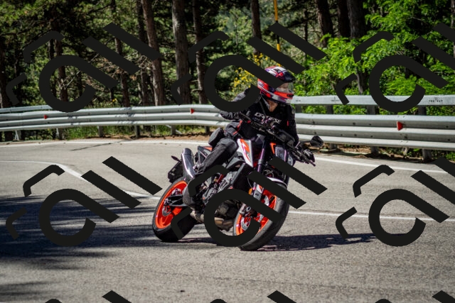 202506291039-DSC_2383_c2