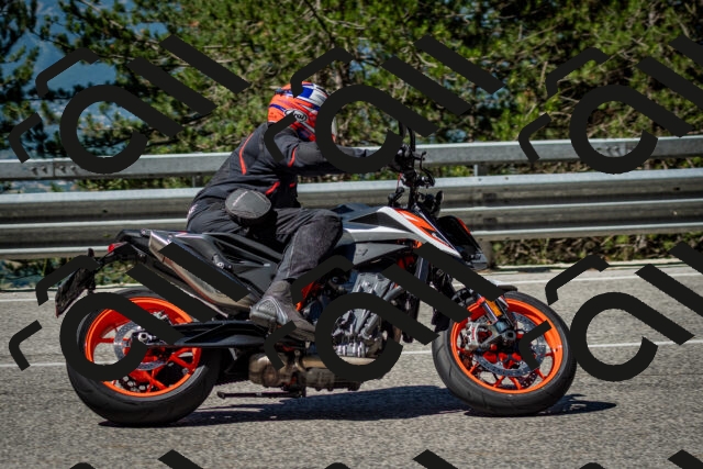 202506291039-DSC_2384_c2