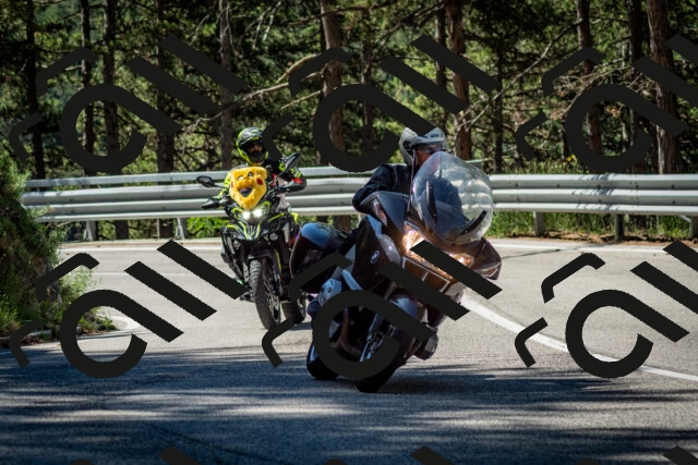 202506291039-DSC_2387_c2