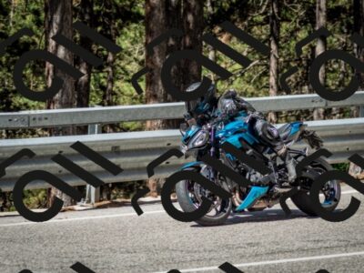 202506291039-DSC_2390_c2