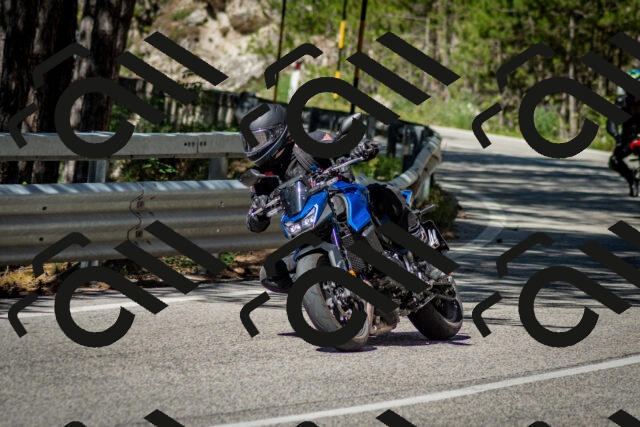 202506291039-DSC_2393_c2