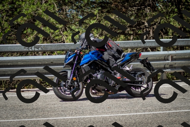 202506291039-DSC_2395_c2