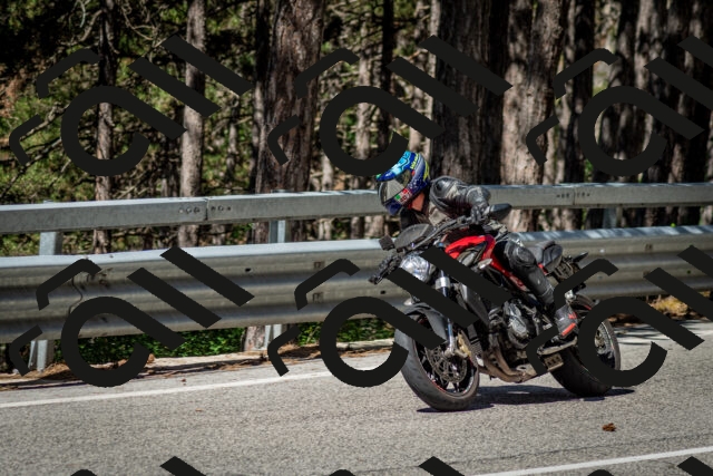 202506291039-DSC_2396_c2