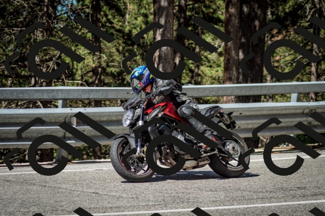 202506291039-DSC_2397_c2