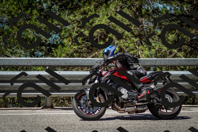 202506291039-DSC_2398_c2