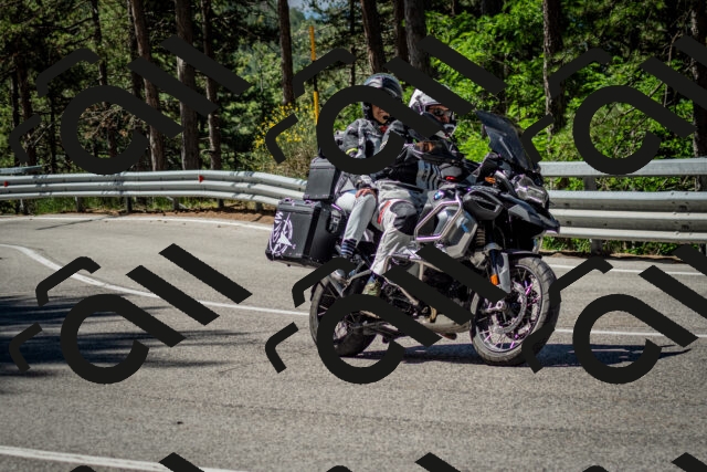 202506291040-DSC_2405_c2