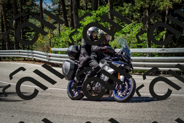 202506291040-DSC_2411_c2