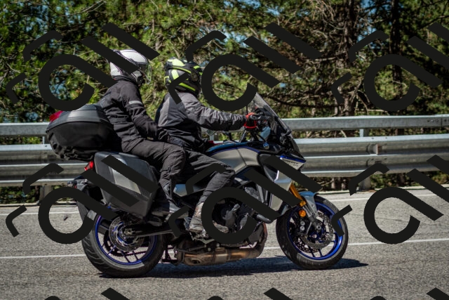 202506291040-DSC_2413_c2