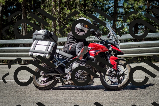 202506291040-DSC_2416_c2