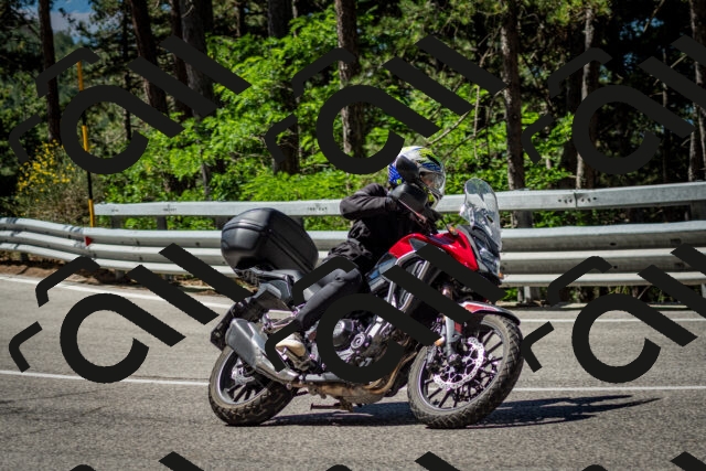 202506291040-DSC_2417_c2