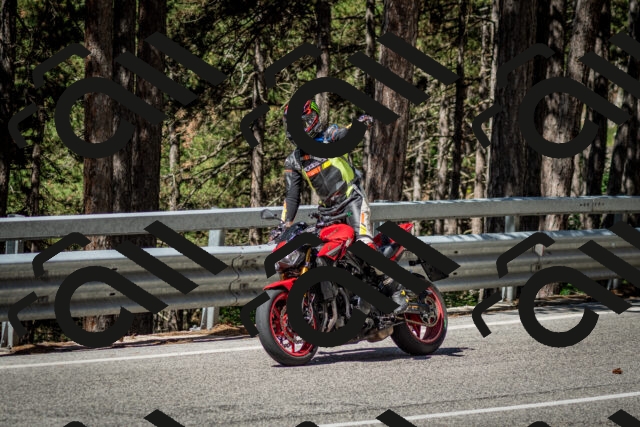 202506291040-DSC_2424_c2