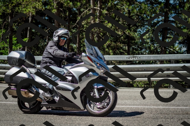 202506291040-DSC_2428_c2