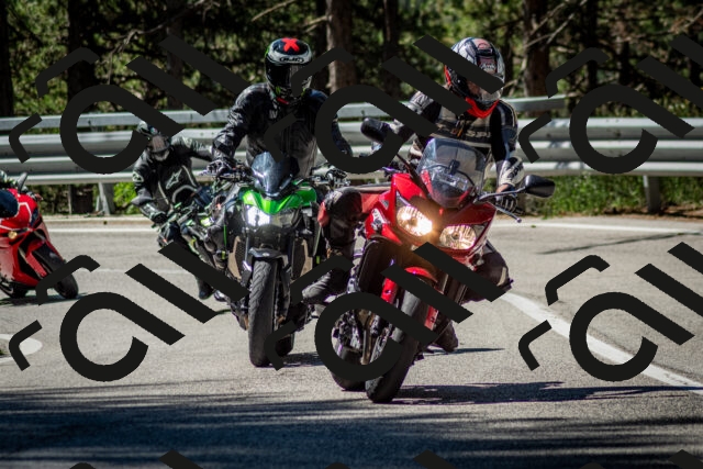 202506291041-DSC_2429_c2