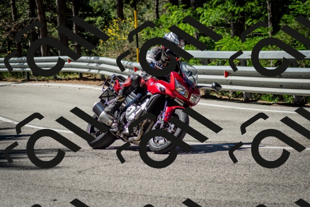 202506291041-DSC_2430_c2