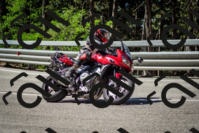 202506291041-DSC_2431_c2