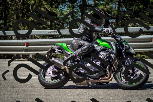 202506291041-DSC_2433_c2