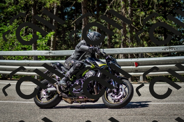 202506291041-DSC_2434_c2