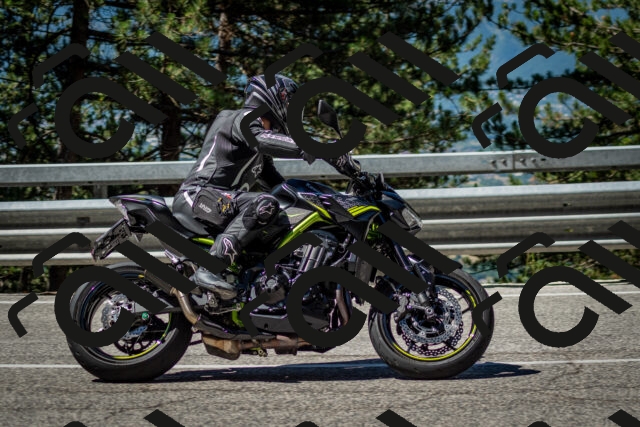 202506291041-DSC_2435_c2