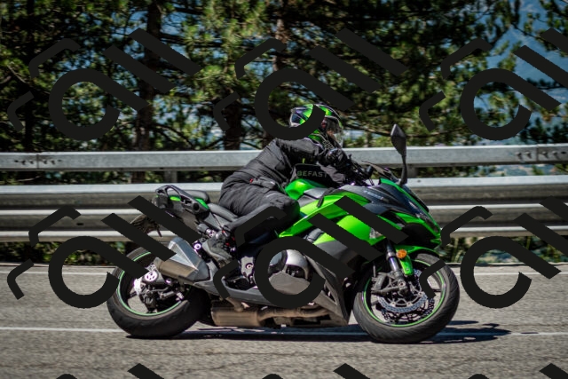 202506291042-DSC_2436_c2