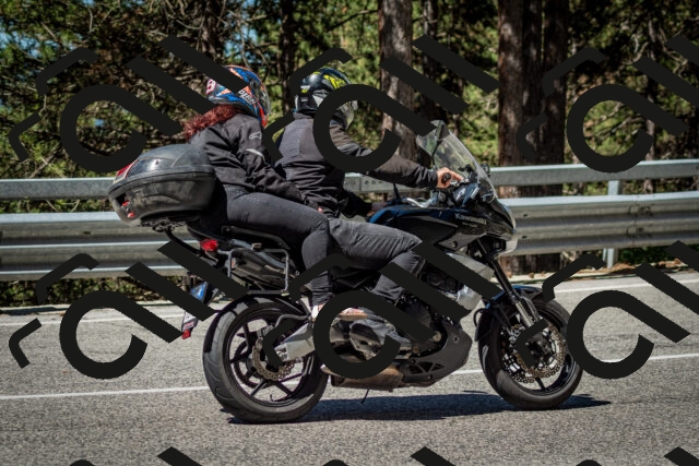 202506291042-DSC_2438_c2