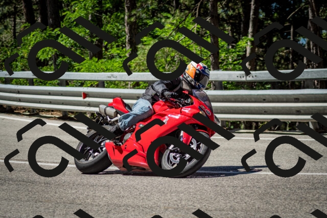 202506291045-DSC_2440_c2