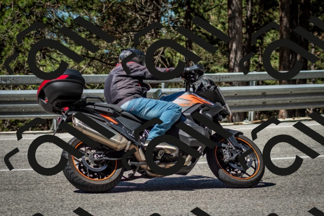 202506291045-DSC_2449_c2