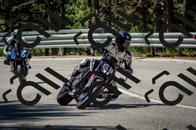 202506291049-DSC_2462_c2