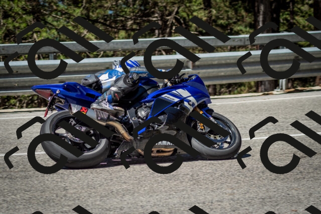 202506291049-DSC_2467_c2