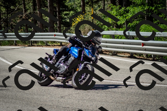 202506291050-DSC_2470_c2