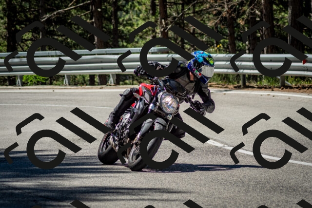 202506291050-DSC_2472_c2