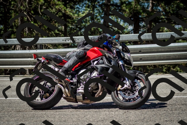 202506291050-DSC_2473_c2