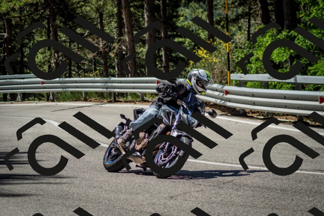 202506291050-DSC_2474_c2