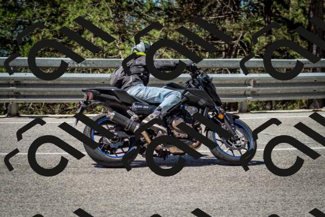 202506291050-DSC_2476_c2