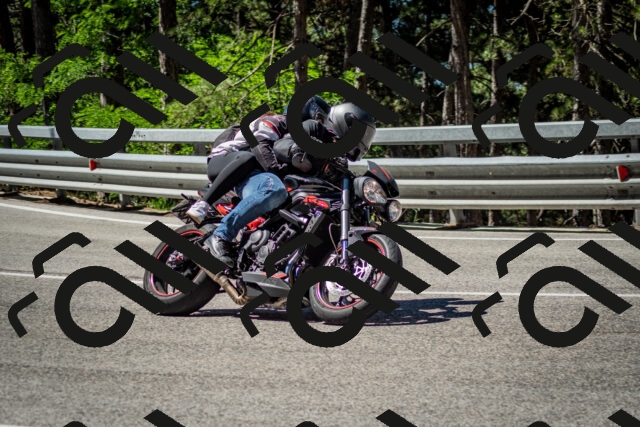 202506291050-DSC_2478_c2