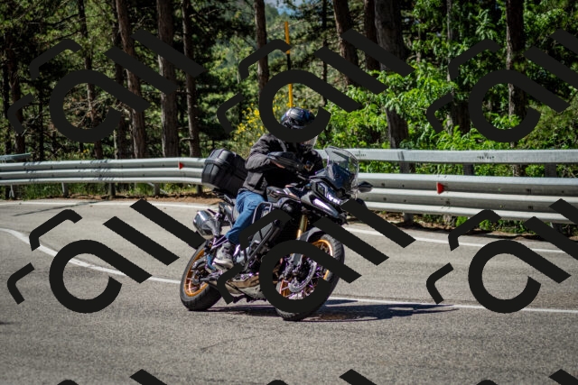 202506291052-DSC_2482_c2