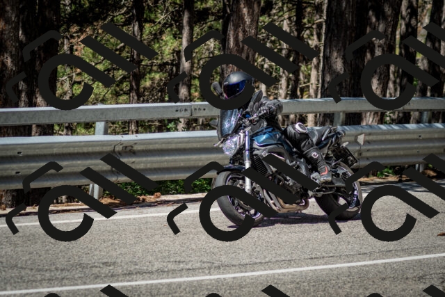 202506291052-DSC_2485_c2