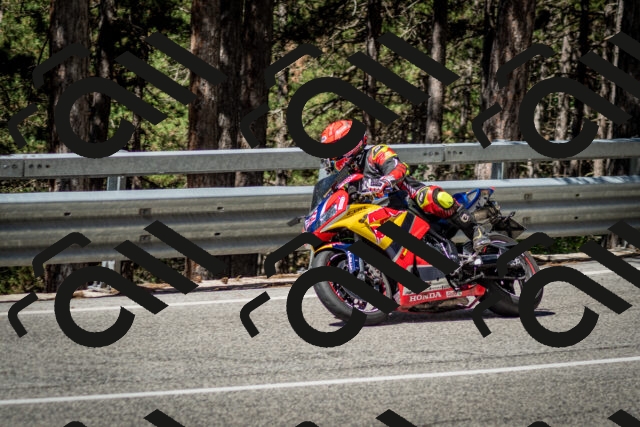 202506291052-DSC_2488_c2