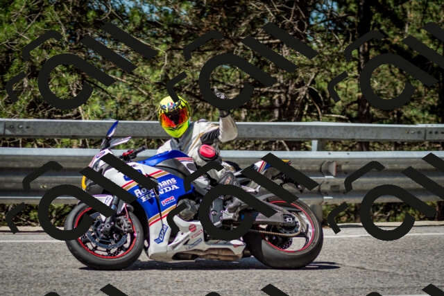 202506291052-DSC_2490_c2